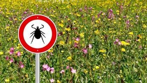 Maladie de Lyme et magnétisme
